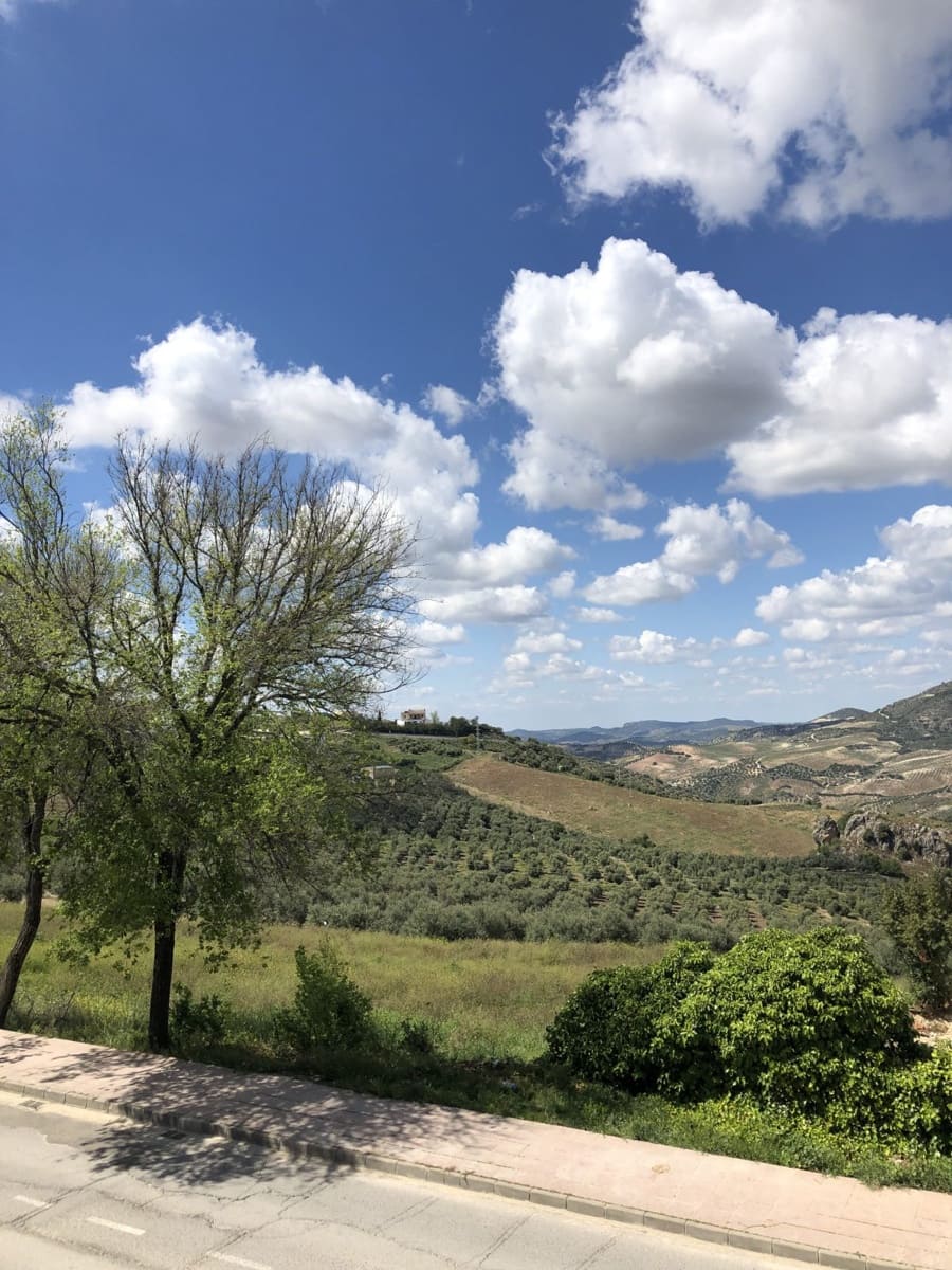 4 sovrum Hus till salu i Olvera - 120 000 € (Ref: 4602652)