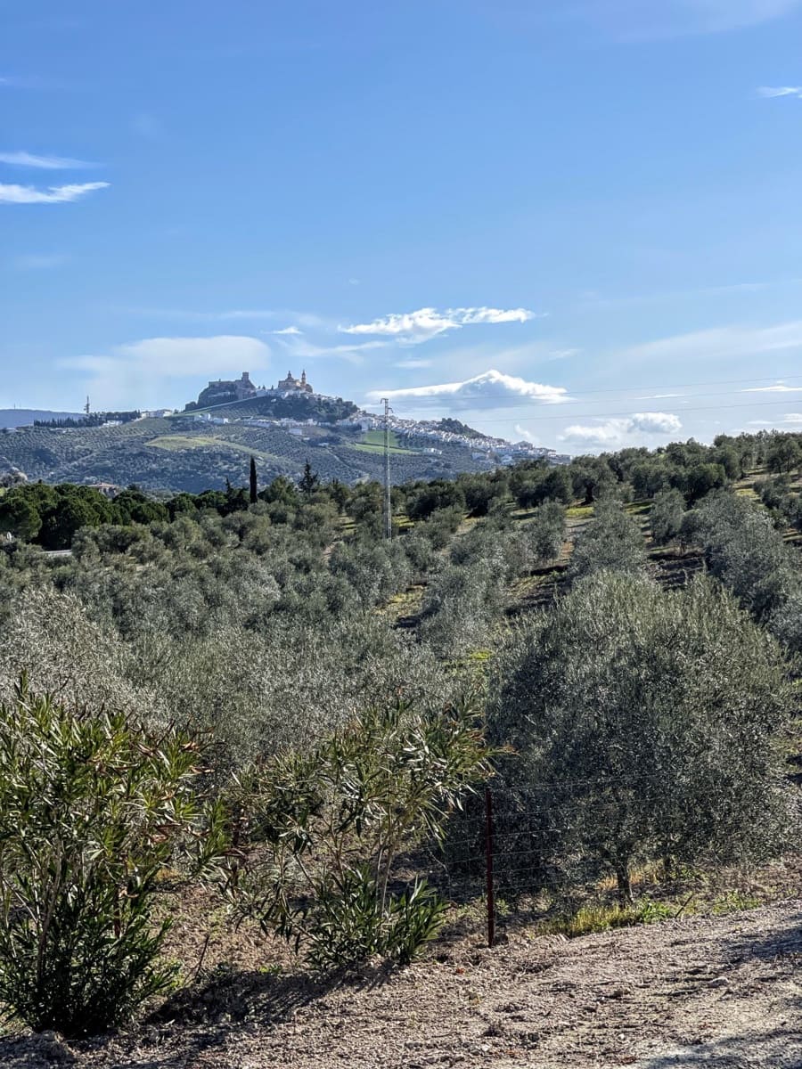 6 soveværelse Finca/Landehus til salg i Olvera med swimmingpool - € 450.000 (Ref: 5130539)