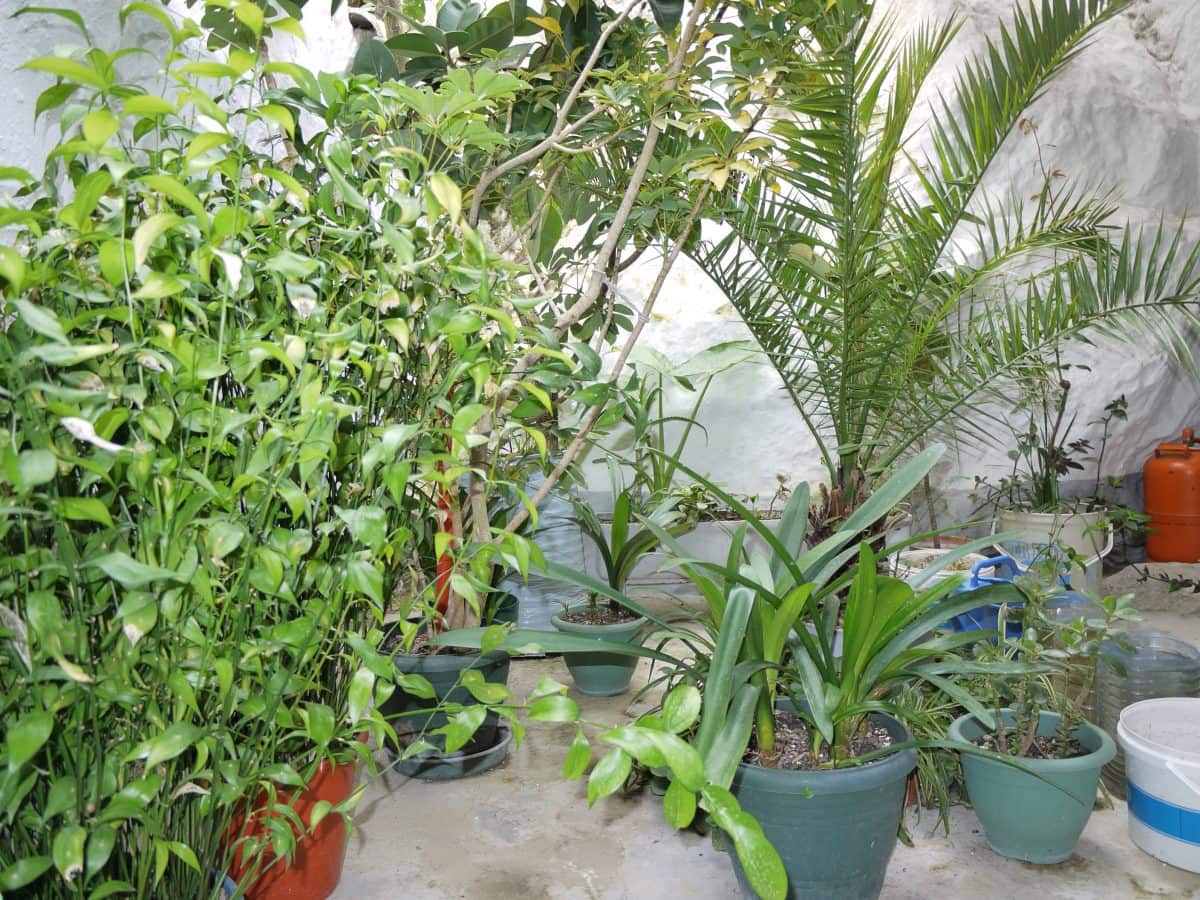 3 soveværelse Byhus til salg i Olvera - € 66.000 (Ref: 6077107)