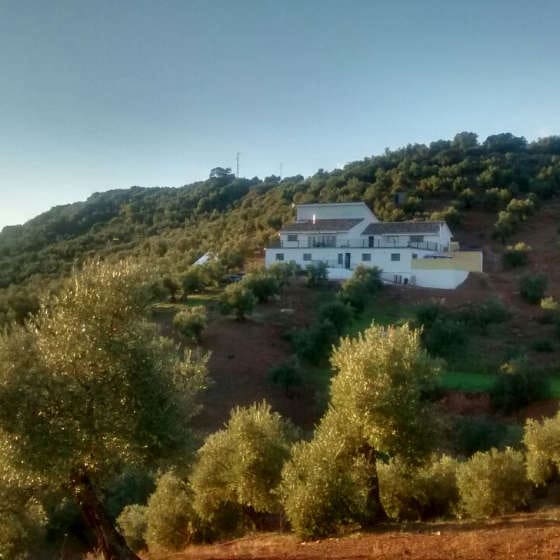 6 soveværelse Finca/Landehus til salg i Montoro med swimmingpool - € 325.000 (Ref: 6230732)
