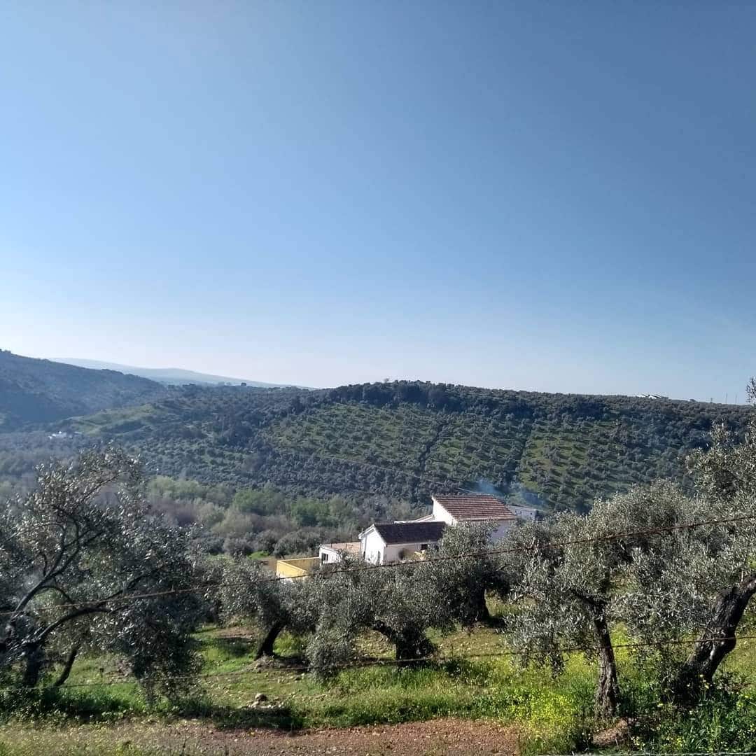 6 soveværelse Finca/Landehus til salg i Montoro med swimmingpool - € 325.000 (Ref: 6230732)