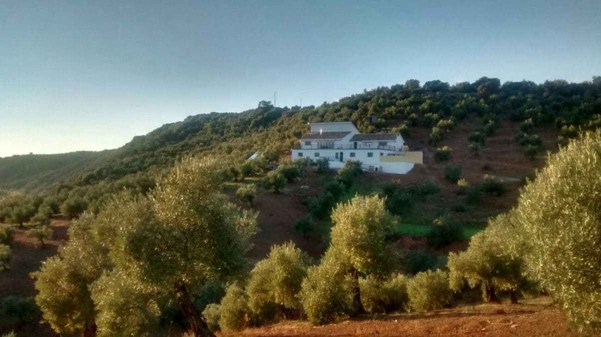 6 soveværelse Finca/Landehus til salg i Montoro med swimmingpool - € 325.000 (Ref: 6230732)