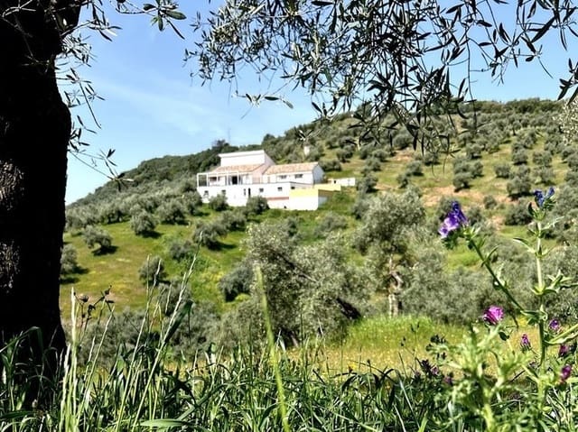 6 sypialnia Finka/Dom wiejski na sprzedaż w Montoro z basenem garażem - 295 000 € (Ref: 6230732)