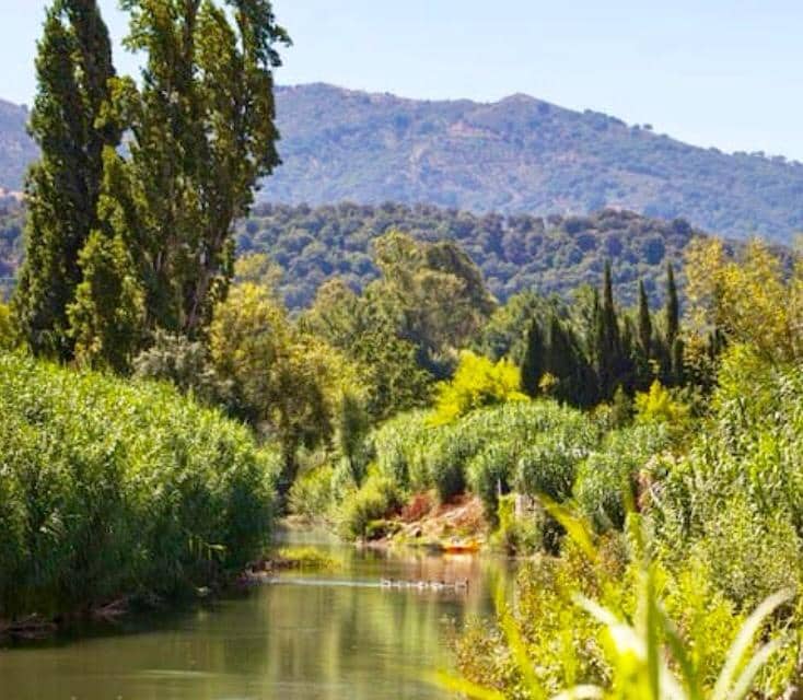 2 soveværelse Byhus til salg i Cortes de la Frontera med swimmingpool - € 150.000 (Ref: 8303260)