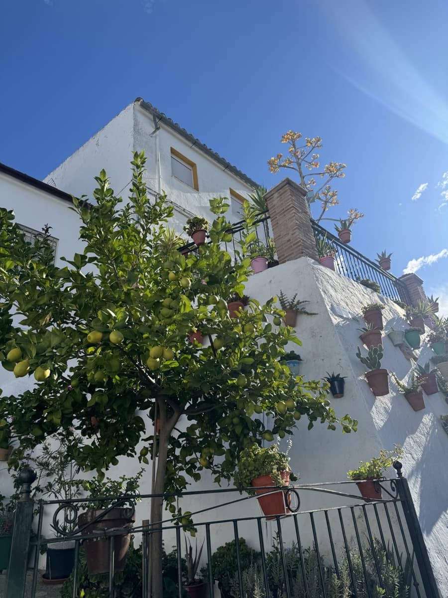 3 soverom Hus til salgs i Olvera - € 60 000 (Ref: 8605401)