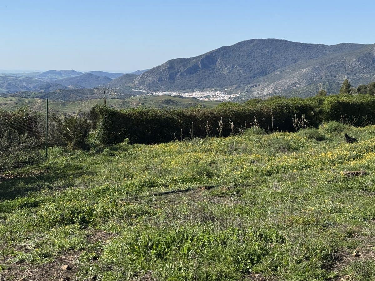 6 camera da letto Villa in vendita in Olvera con piscina - 485.000 € (Rif: 8683071)