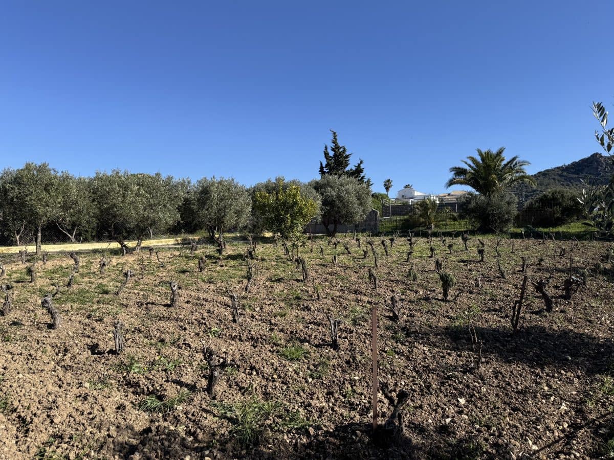 6 camera da letto Villa in vendita in Olvera con piscina - 485.000 € (Rif: 8683071)