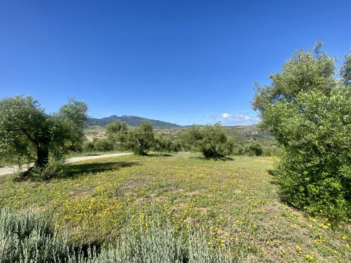 2 soveværelse Finca/Landehus til salg i Algodonales med swimmingpool - € 395.000 (Ref: 9000612)