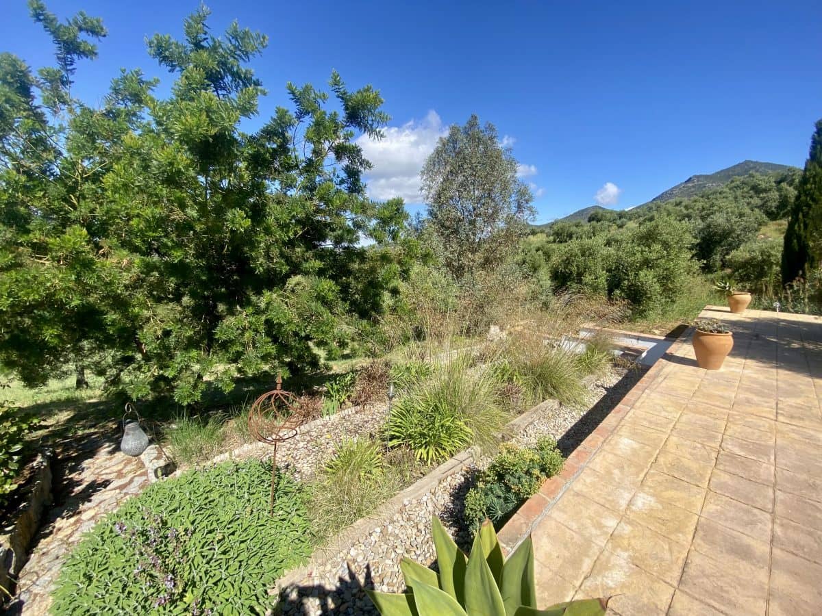 2 soveværelse Finca/Landehus til salg i Algodonales med swimmingpool - € 395.000 (Ref: 9000612)