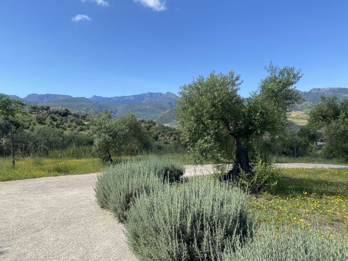 2 soveværelse Finca/Landehus til salg i Algodonales med swimmingpool - € 395.000 (Ref: 9000612)