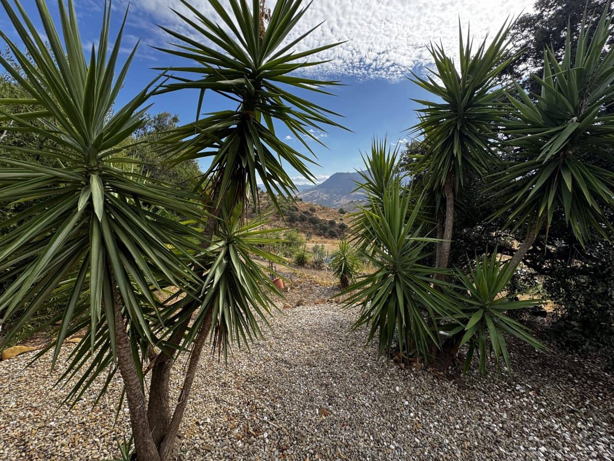 4 soveværelse Finca/Landehus til salg i El Gastor - € 430.000 (Ref: 9319838)