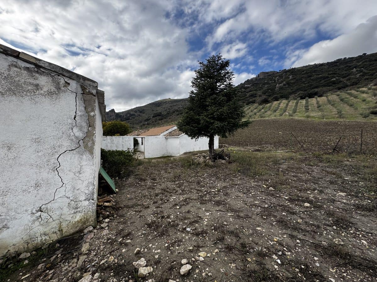 4 chambre Finca/Maison de Campagne à vendre à Montecorto - 599 999 € (Ref: 9517861)