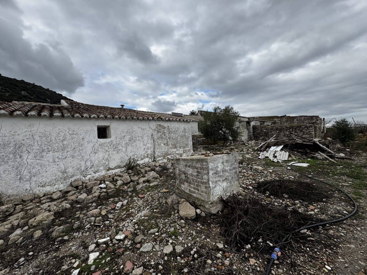 4 chambre Finca/Maison de Campagne à vendre à Montecorto - 599 999 € (Ref: 9517861)