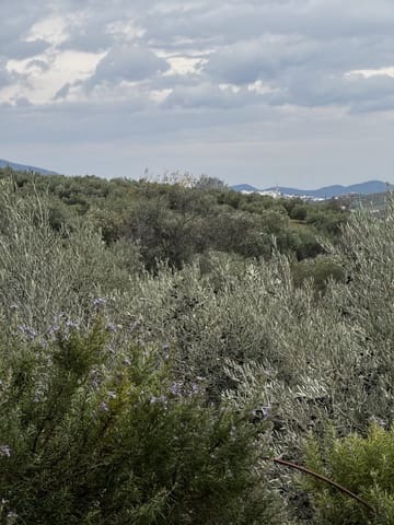 4 quarto Moradia para venda em Olvera com piscina - 599 000 € (Ref: 9517862)