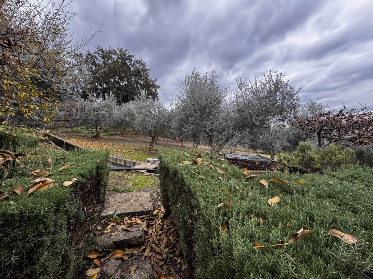 4 quarto Moradia para venda em Olvera com piscina - 599 000 € (Ref: 9517862)