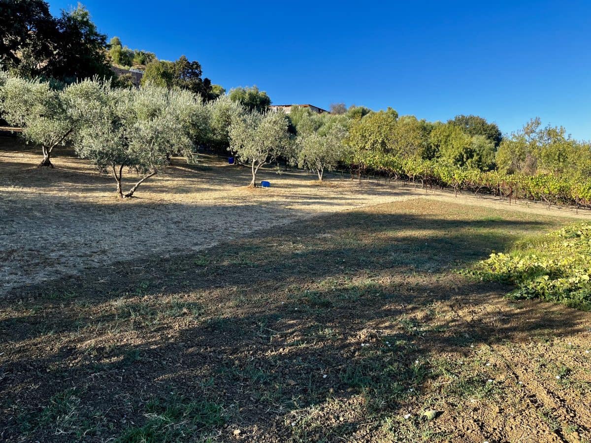 4 quarto Moradia para venda em Olvera com piscina - 380 000 € (Ref: 9517862)