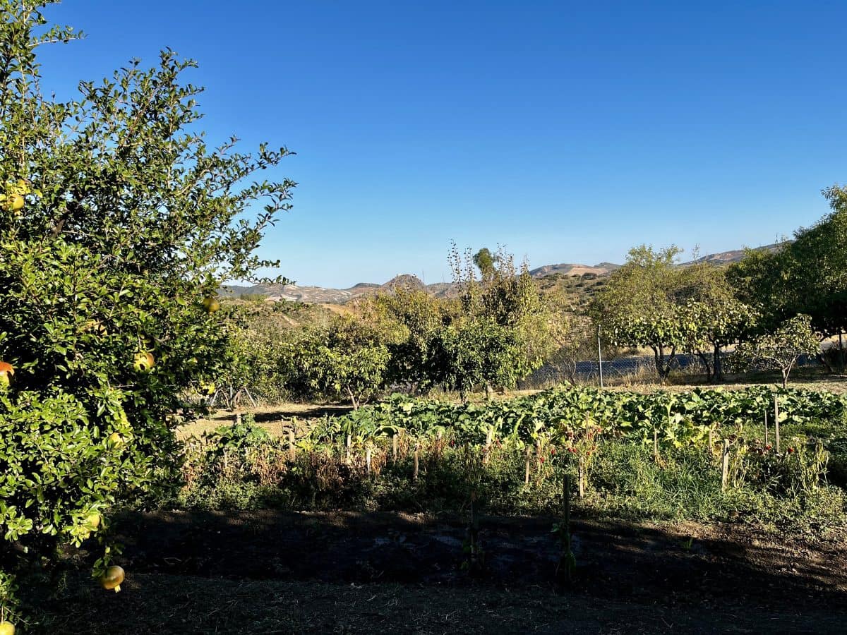 4 quarto Moradia para venda em Olvera com piscina - 380 000 € (Ref: 9517862)