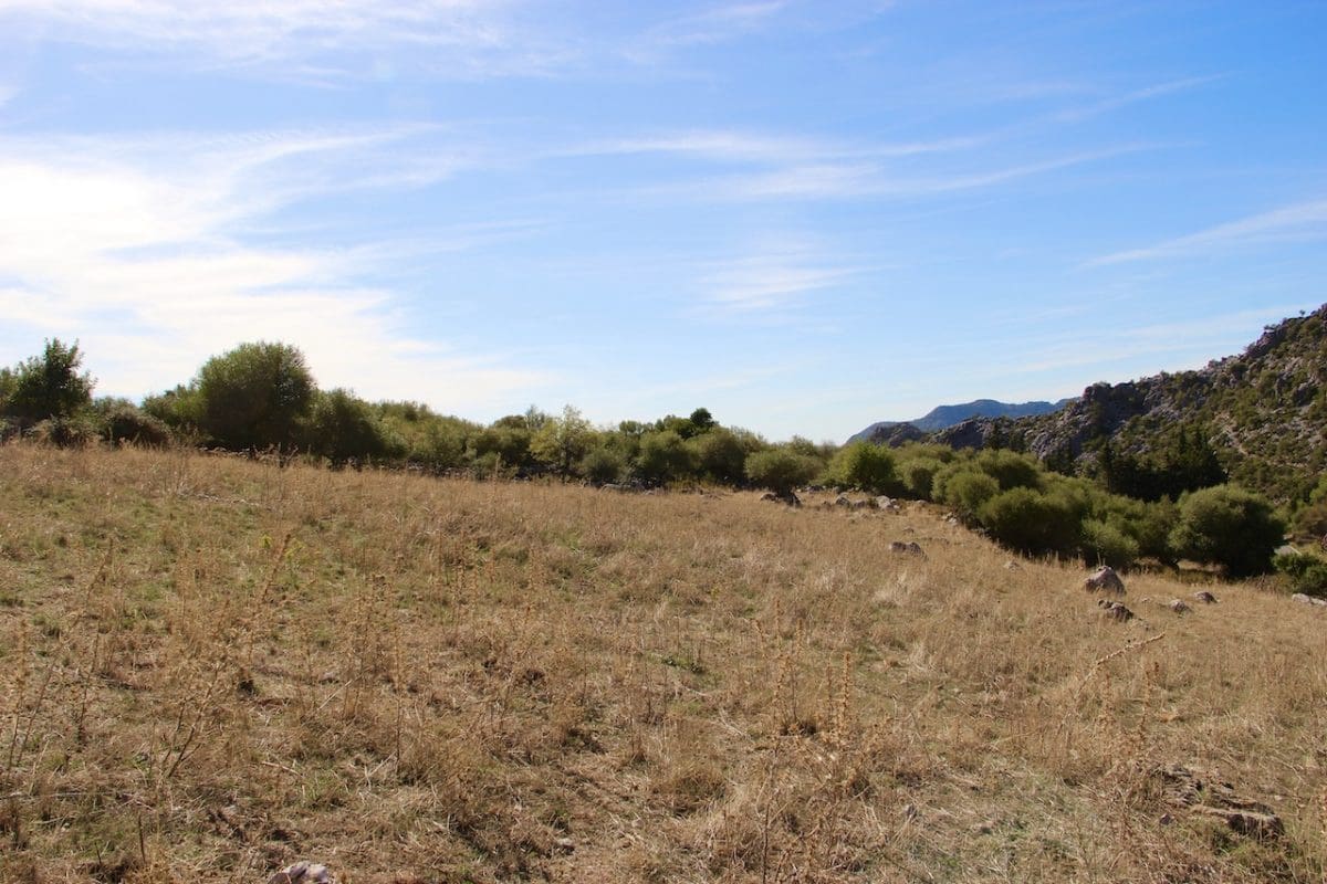 3 chambre Finca/Maison de Campagne à vendre à Benaocaz - 255 000 € (Ref: 9669094)