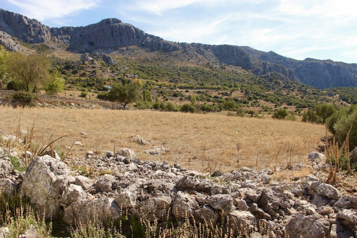 3 chambre Finca/Maison de Campagne à vendre à Benaocaz - 255 000 € (Ref: 9669094)