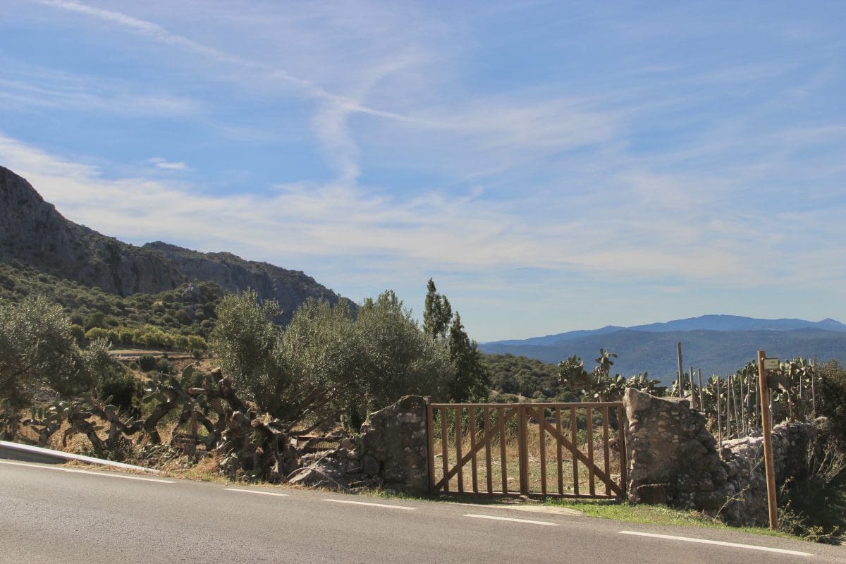 4 Zimmer Finca/Landgut zu verkaufen in Benaocaz - 360.000 € (Ref: 9669095)