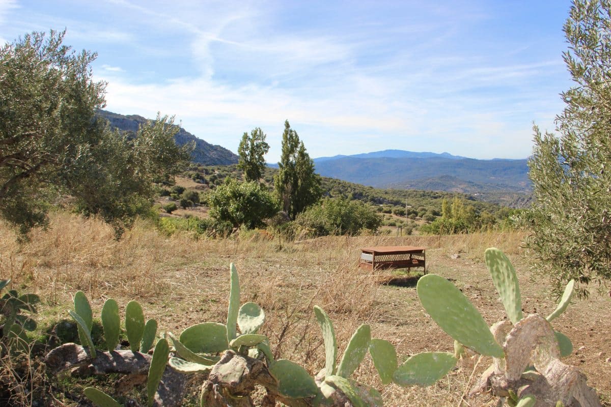 4 Zimmer Finca/Landgut zu verkaufen in Benaocaz - 360.000 € (Ref: 9669095)