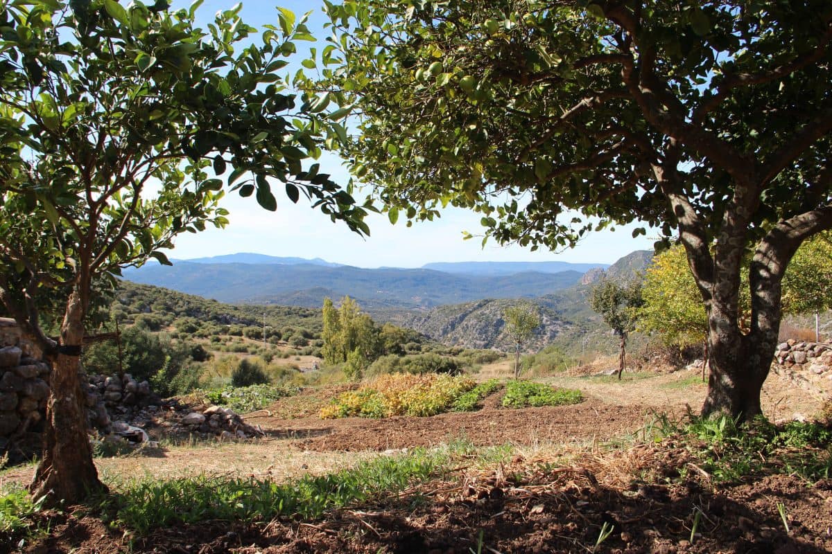 4 Zimmer Finca/Landgut zu verkaufen in Benaocaz - 360.000 € (Ref: 9669095)