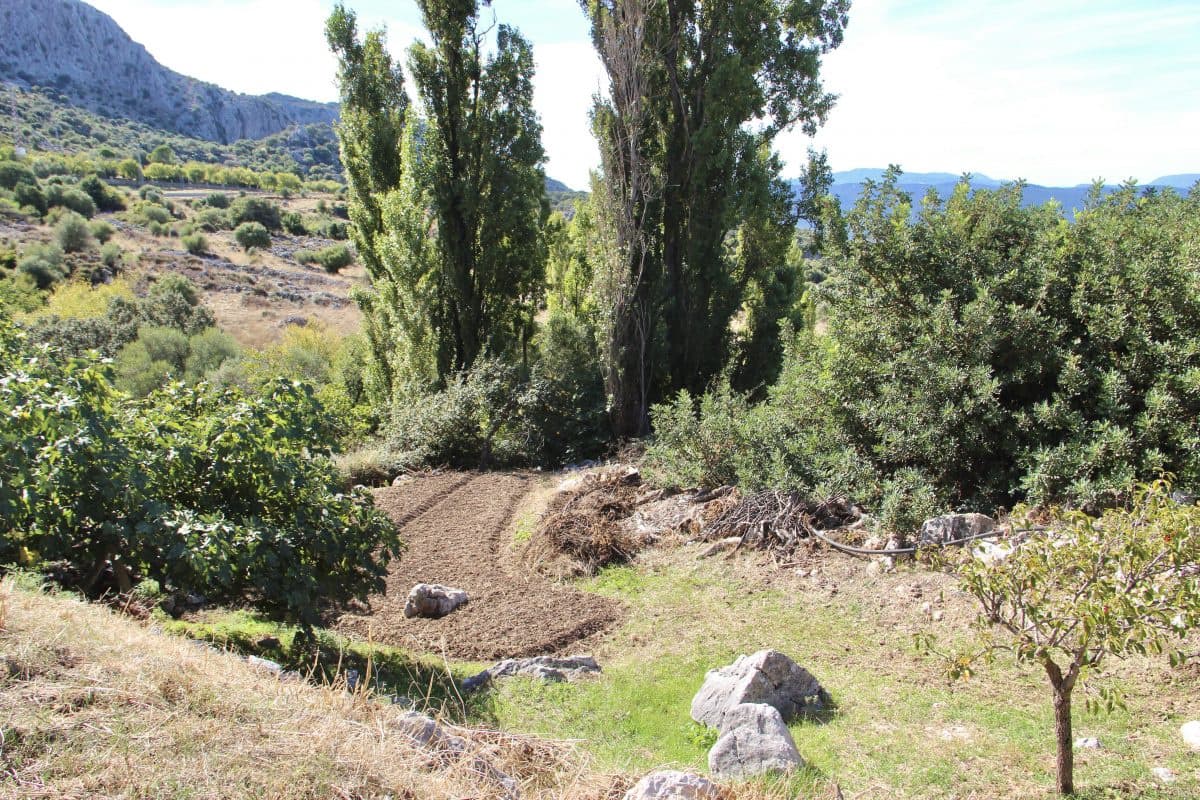 4 Zimmer Finca/Landgut zu verkaufen in Benaocaz - 360.000 € (Ref: 9669095)