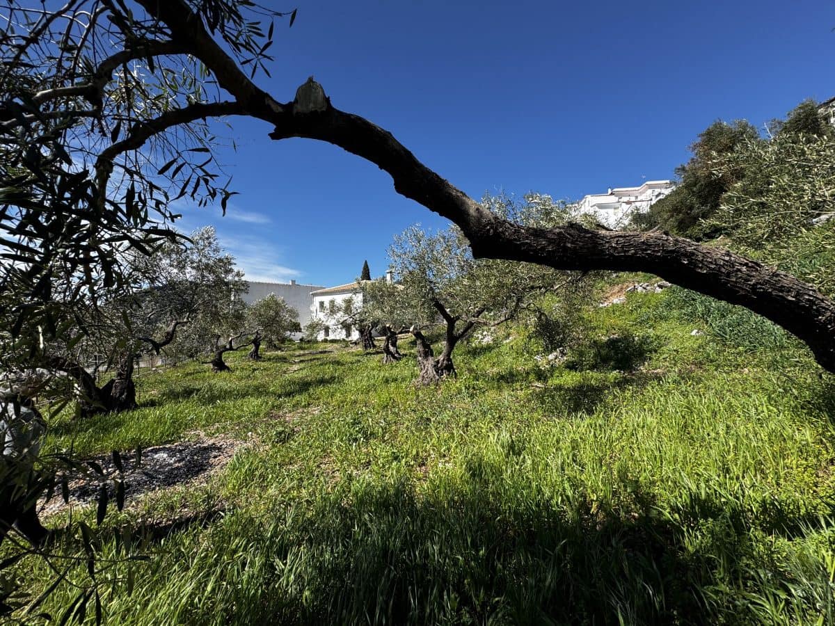 4 bedroom Finca/Country House for sale in Benaocaz - € 360,000 (Ref: 9669095)