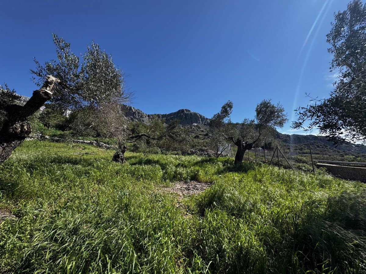 4 bedroom Finca/Country House for sale in Benaocaz - € 360,000 (Ref: 9669095)