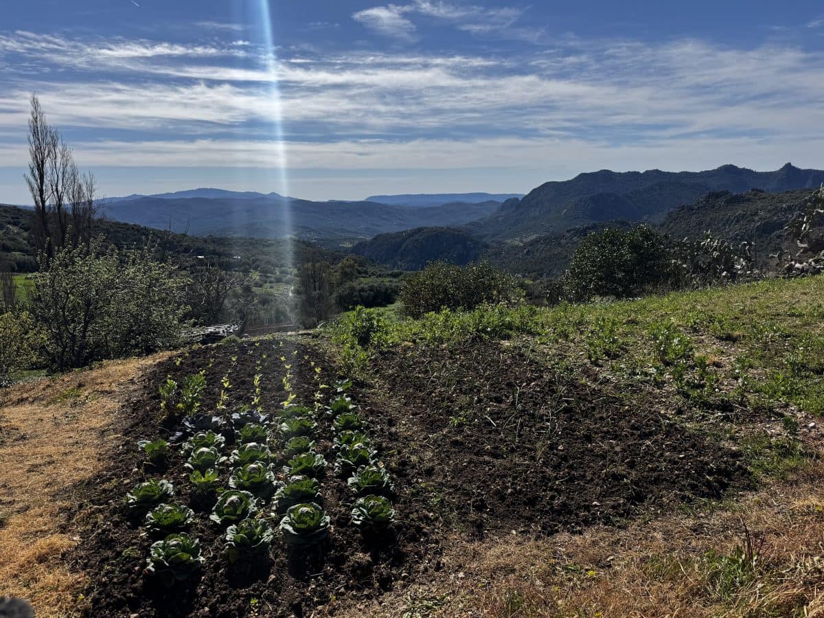 4 bedroom Finca/Country House for sale in Benaocaz - € 360,000 (Ref: 9669095)