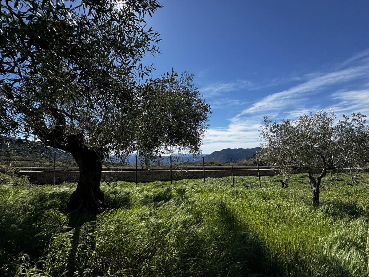 4 bedroom Finca/Country House for sale in Benaocaz - € 360,000 (Ref: 9669095)
