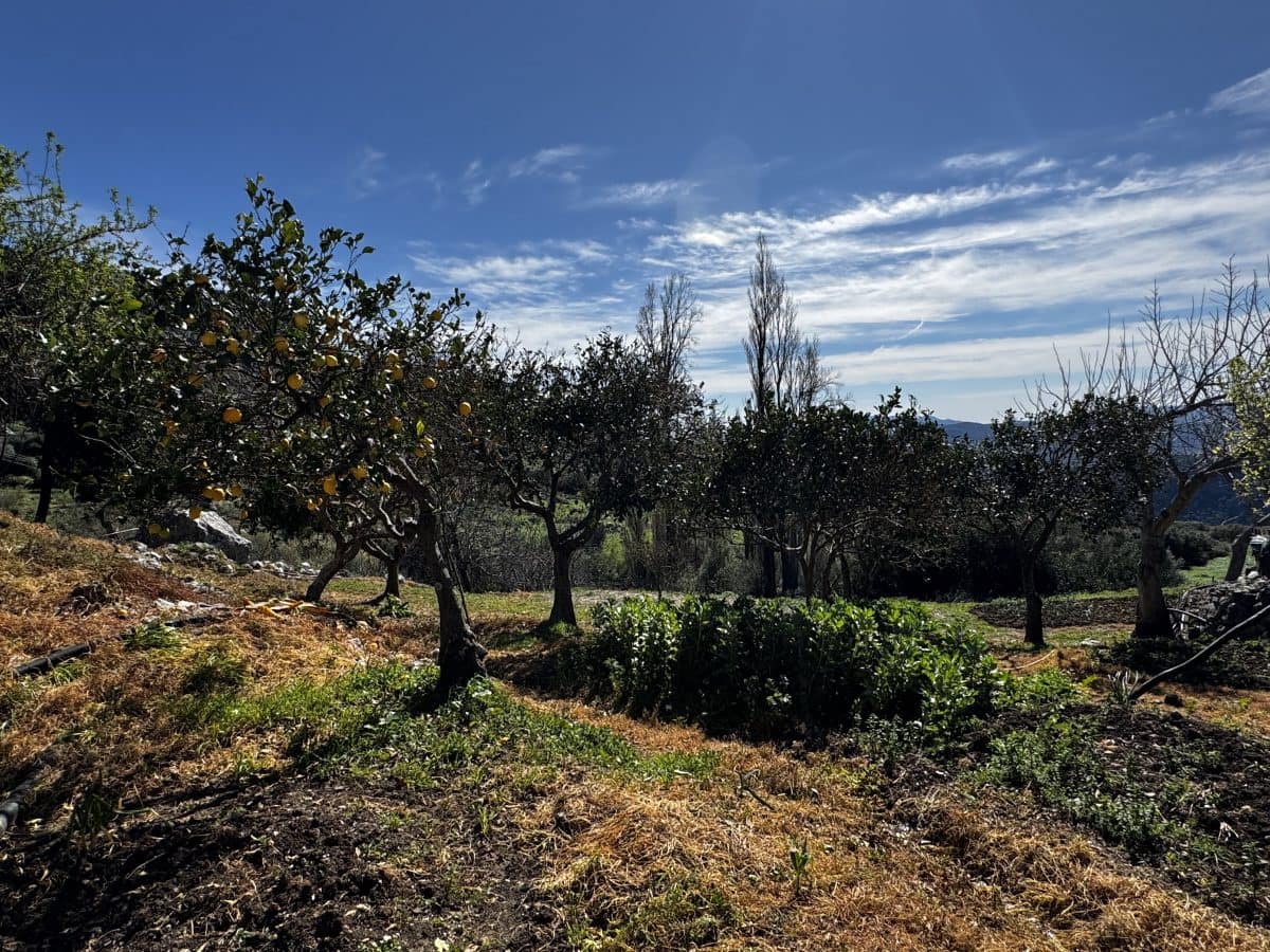 4 bedroom Finca/Country House for sale in Benaocaz - € 360,000 (Ref: 9669095)