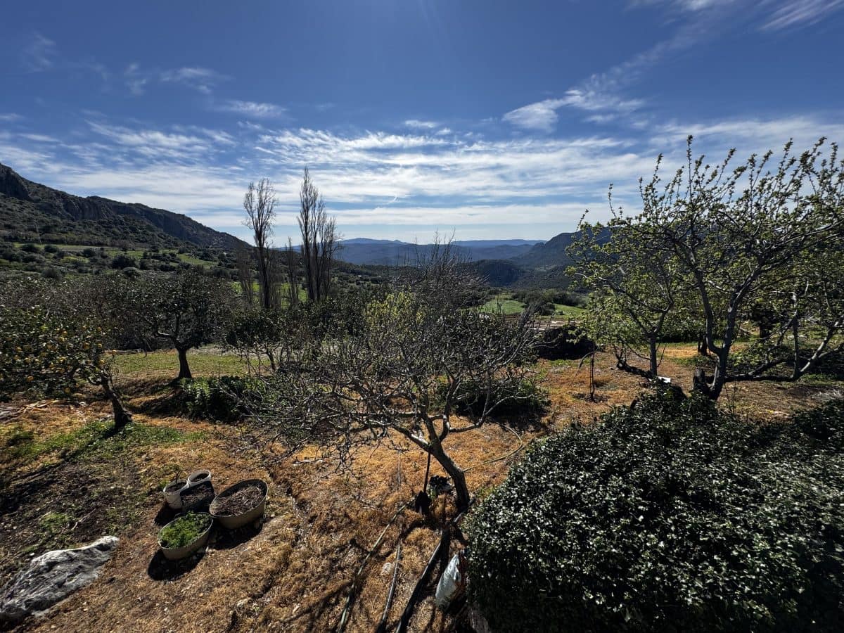 4 bedroom Finca/Country House for sale in Benaocaz - € 360,000 (Ref: 9669095)