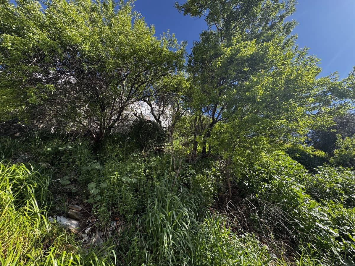 3 soveværelse Byhus til salg i Olvera - € 80.000 (Ref: 9681392)