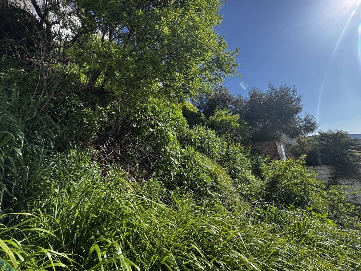 3 soveværelse Byhus til salg i Olvera - € 80.000 (Ref: 9681392)