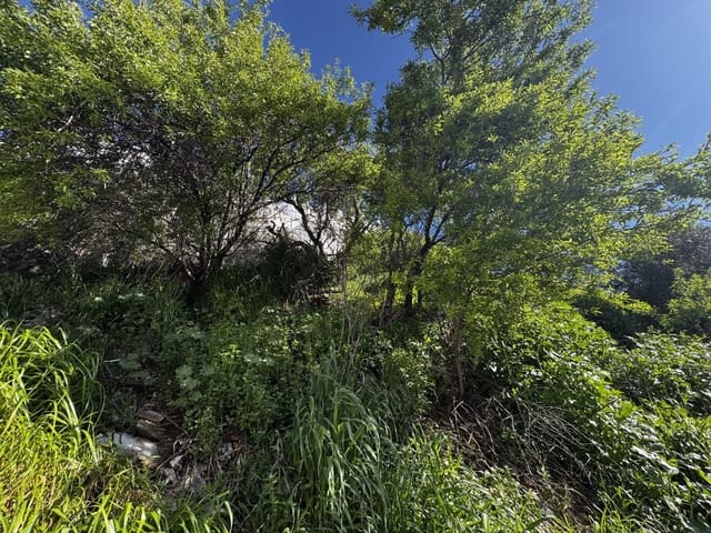 3 soveværelse Byhus til salg i Olvera - € 80.000 (Ref: 9681392)