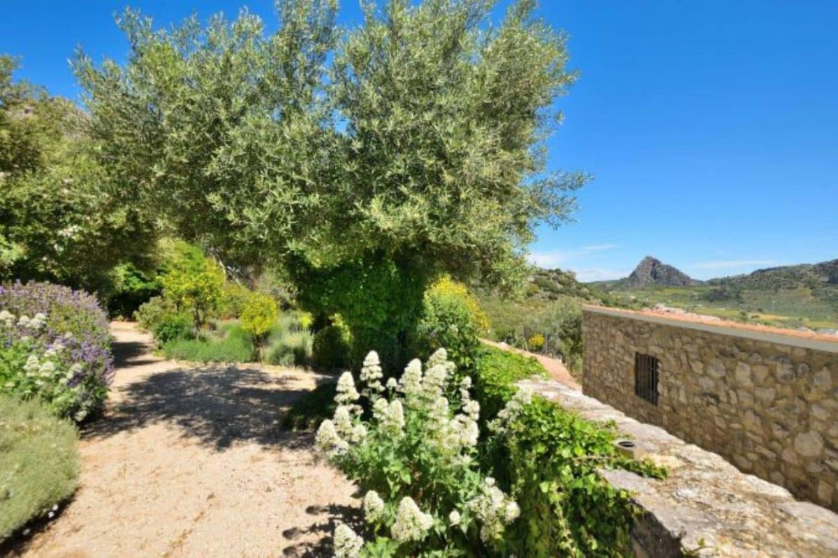 6 bedroom Townhouse for sale in Montejaque - € 495,000 (Ref: 9731559)