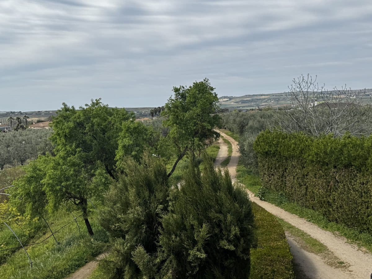 8 soveværelse Finca/Landehus til salg i Setenil de las Bodegas - € 435.000 (Ref: 9747270)