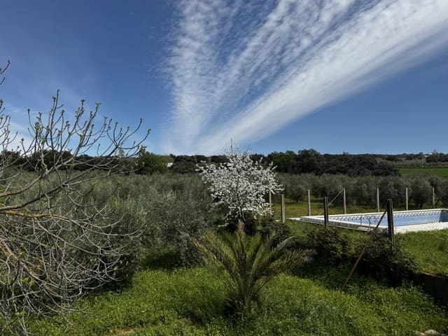 8 soveværelse Finca/Landehus til salg i Setenil de las Bodegas - € 435.000 (Ref: 9747270)