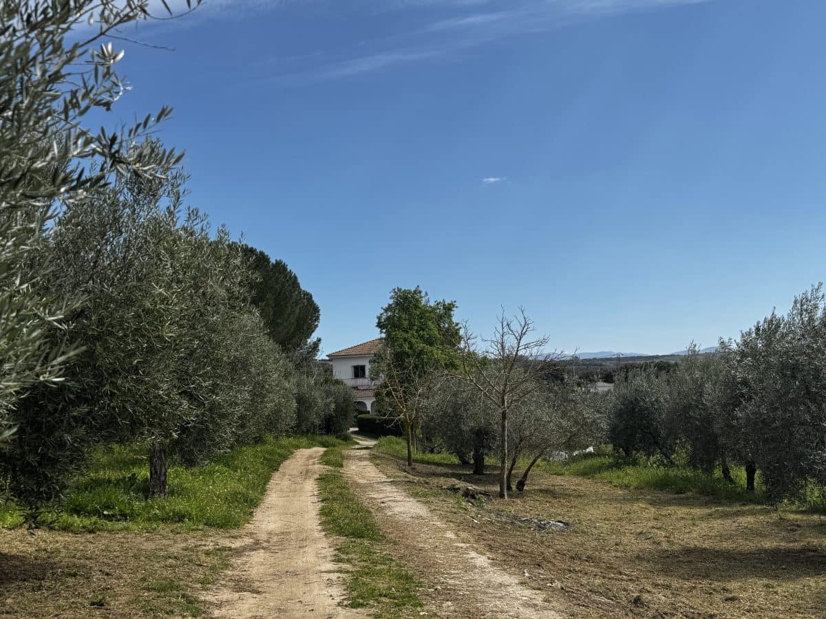 8 soveværelse Finca/Landehus til salg i Setenil de las Bodegas - € 435.000 (Ref: 9747270)