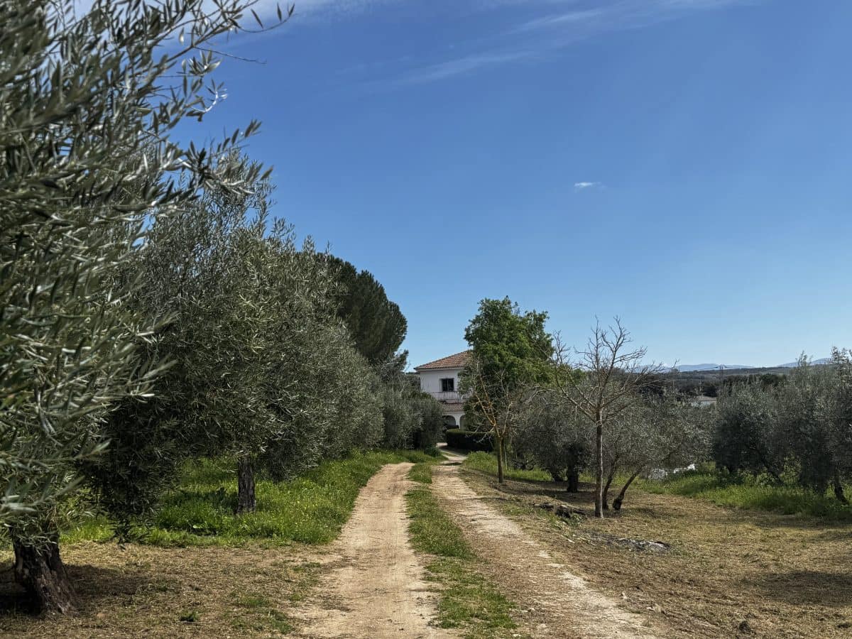 8 soveværelse Finca/Landehus til salg i Setenil de las Bodegas - € 435.000 (Ref: 9747270)