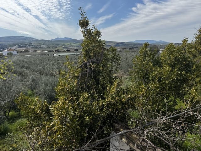 8 soveværelse Finca/Landehus til salg i Setenil de las Bodegas - € 435.000 (Ref: 9747270)