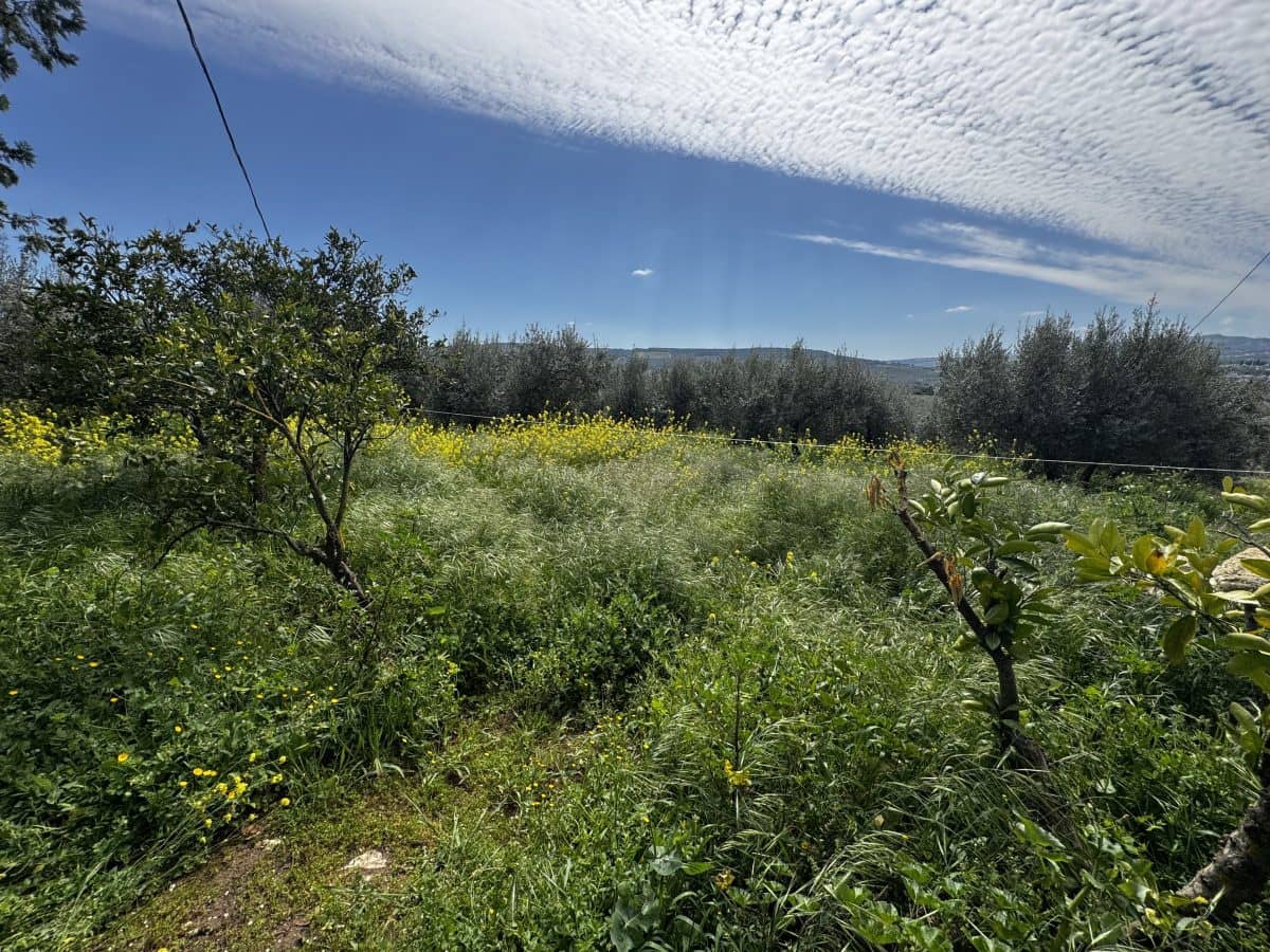 8 soveværelse Finca/Landehus til salg i Setenil de las Bodegas - € 435.000 (Ref: 9747270)