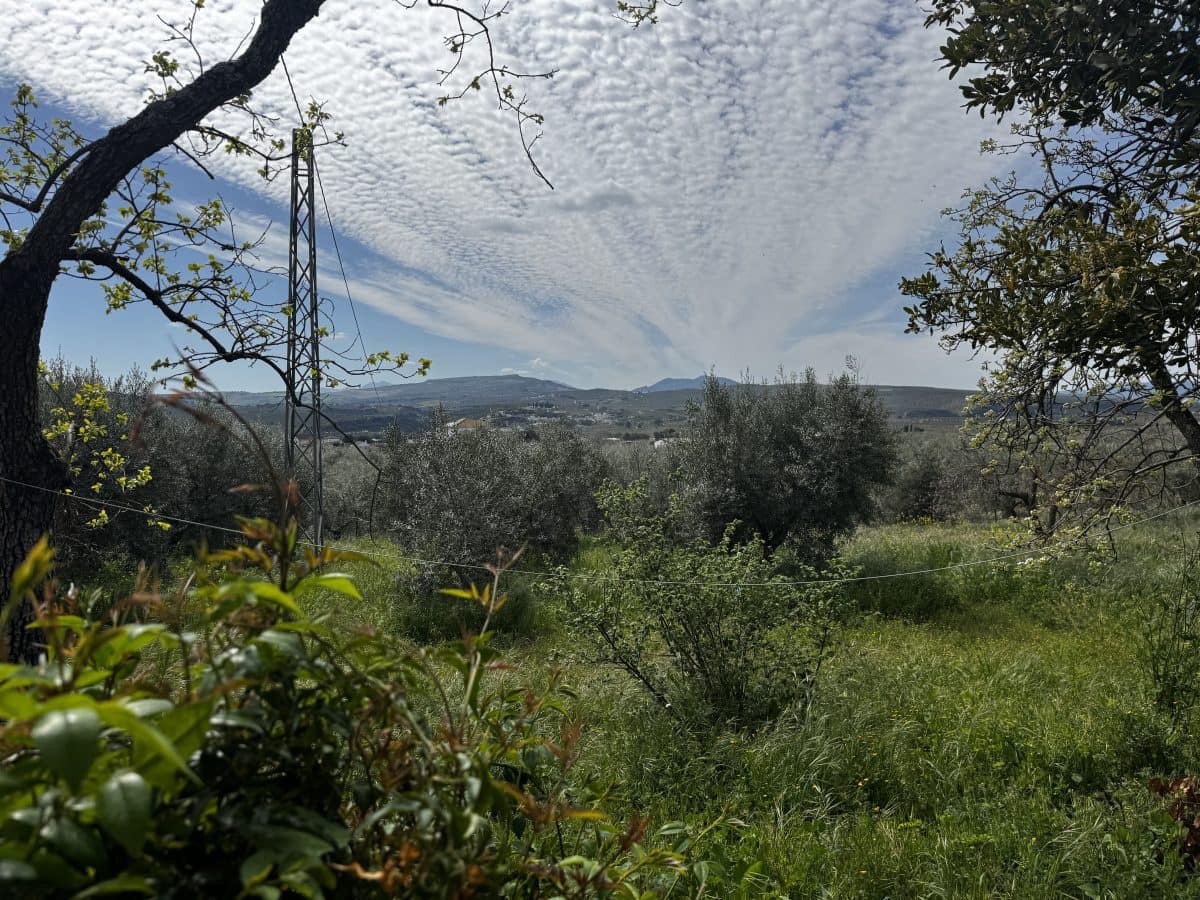 8 soveværelse Finca/Landehus til salg i Setenil de las Bodegas - € 435.000 (Ref: 9747270)