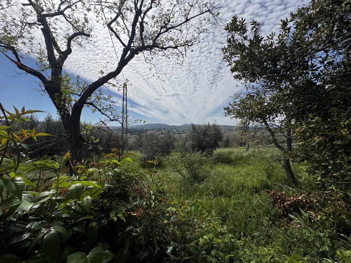 8 soveværelse Finca/Landehus til salg i Setenil de las Bodegas - € 435.000 (Ref: 9747270)