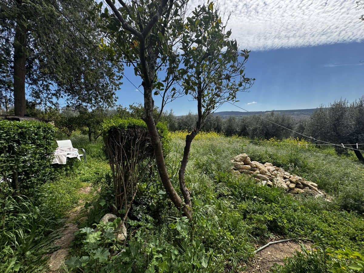 8 soveværelse Finca/Landehus til salg i Setenil de las Bodegas - € 435.000 (Ref: 9747270)