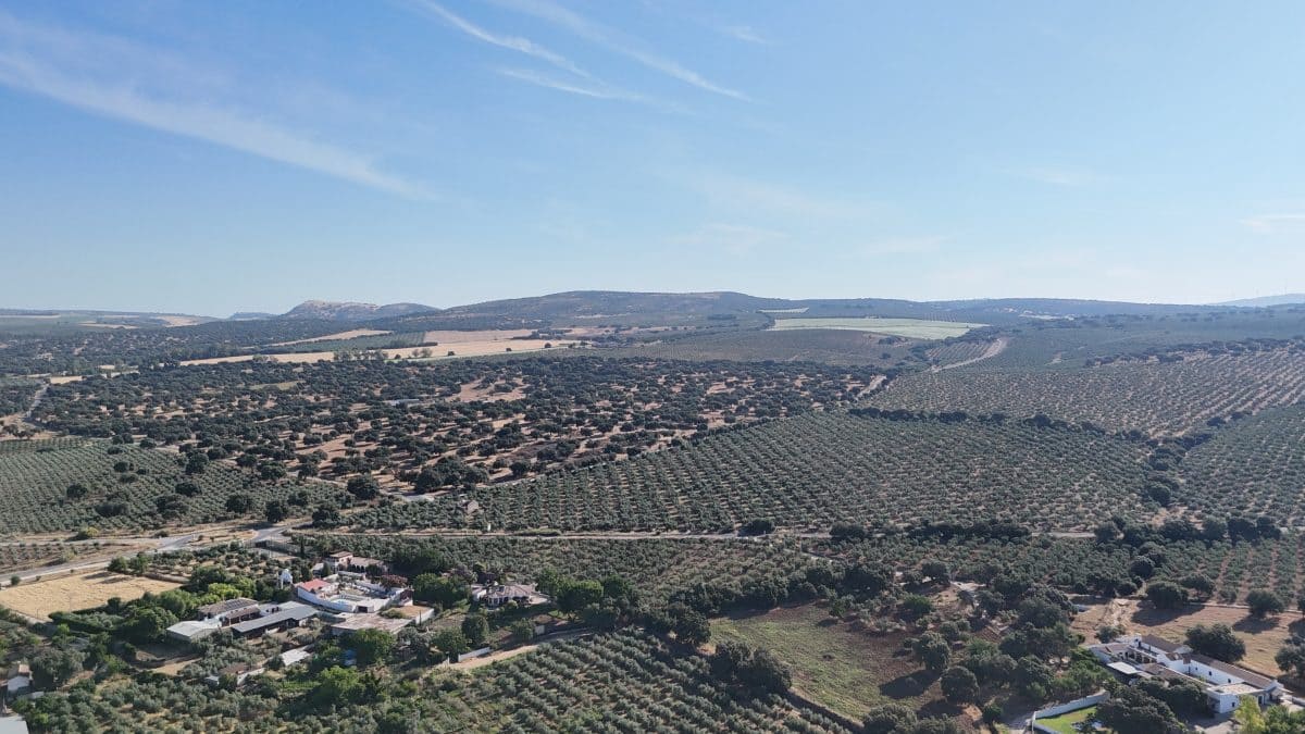 6 soveværelse Finca/Landehus til salg i Setenil de las Bodegas med swimmingpool garage - € 435.000 (Ref: 9747270)