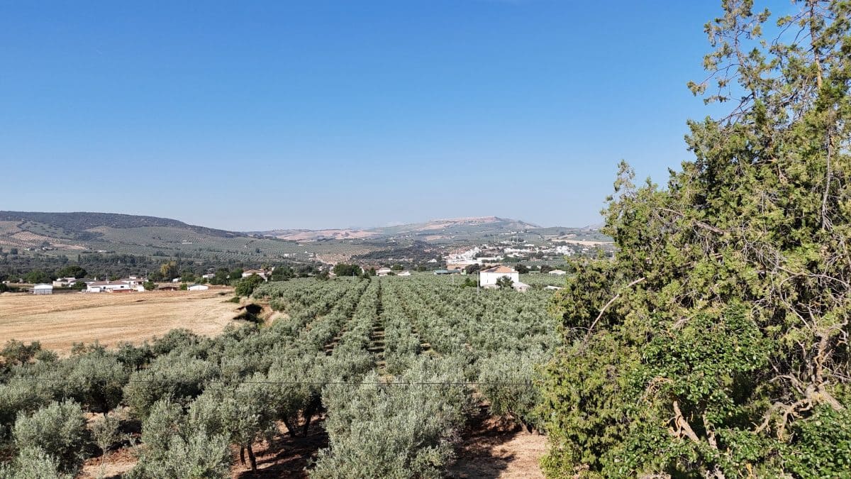 6 soveværelse Finca/Landehus til salg i Setenil de las Bodegas med swimmingpool garage - € 435.000 (Ref: 9747270)