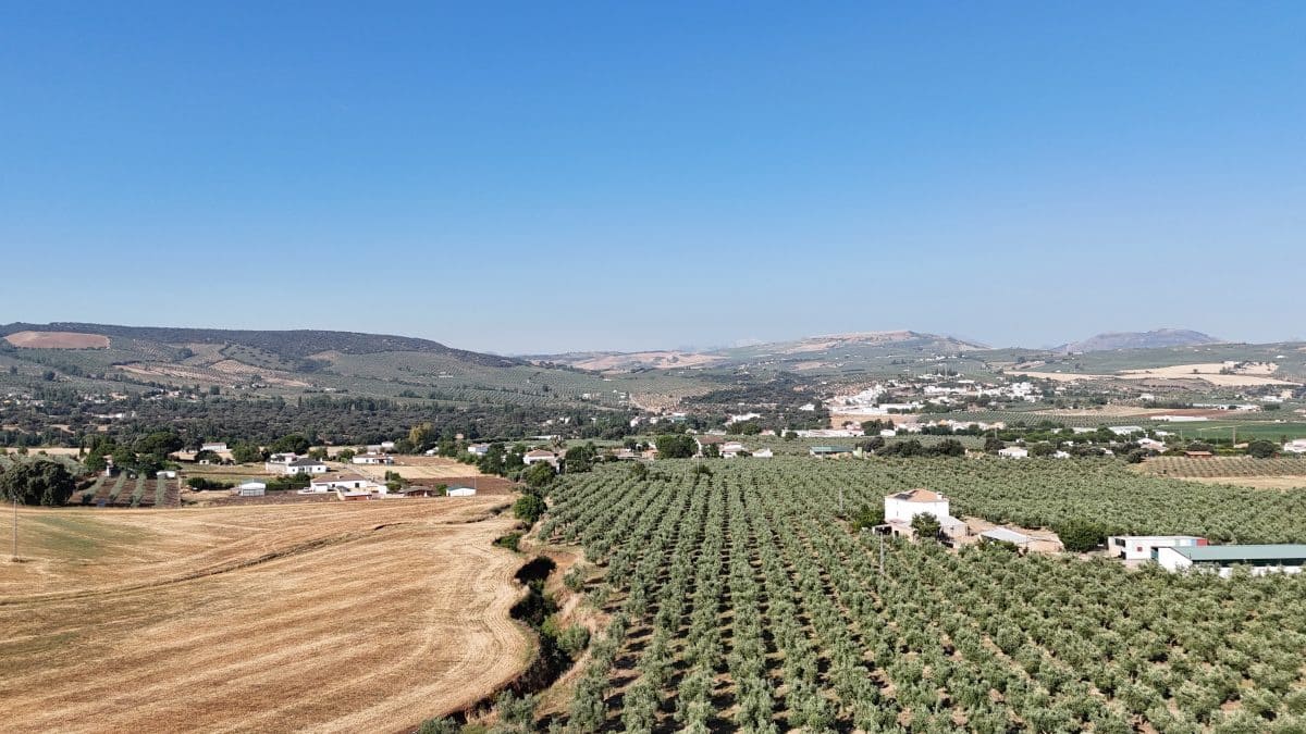 6 soveværelse Finca/Landehus til salg i Setenil de las Bodegas med swimmingpool garage - € 435.000 (Ref: 9747270)