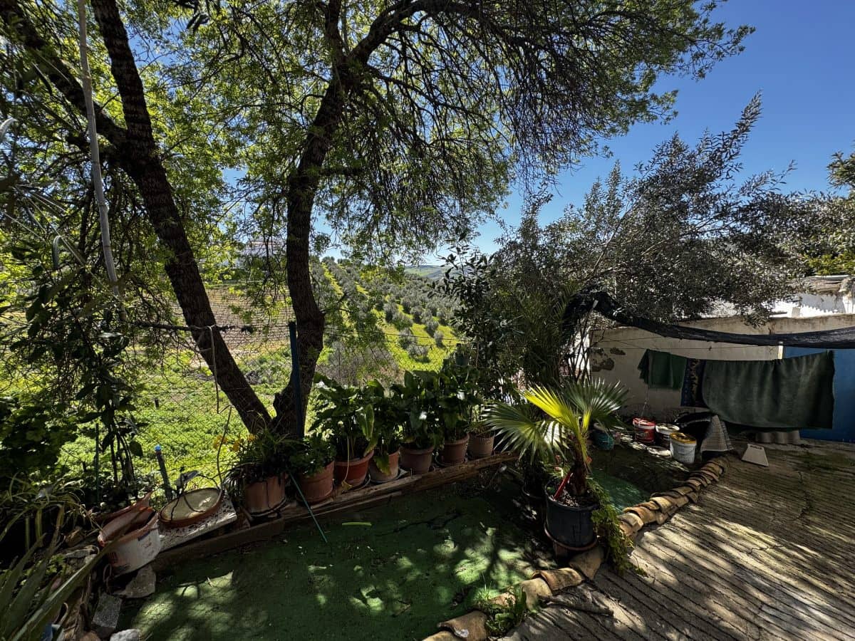 3 sypialnia Dom na sprzedaż w Torre-Alhaquime - 69 950 € (Ref: 9753491)